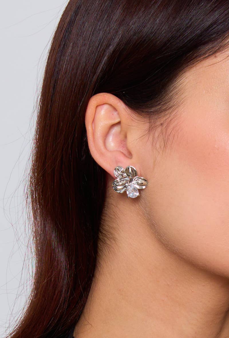 Roestvrijstalen bloemoorbellen: Zilver