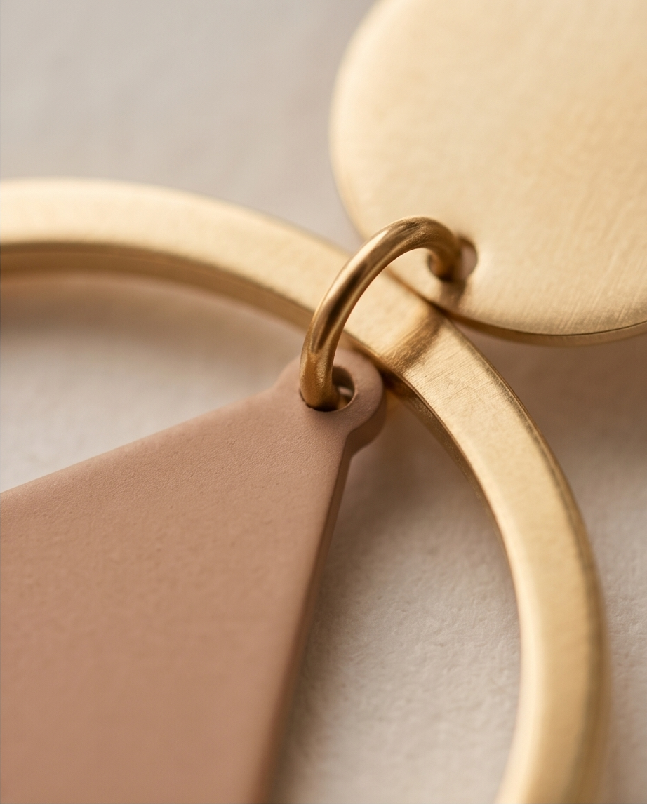 ✨ Nude & Gold Geometric Earrings ✨