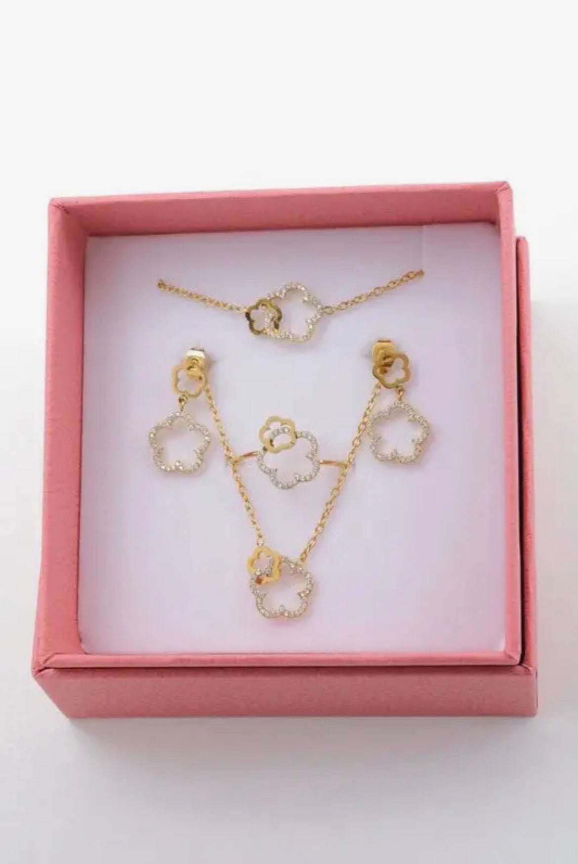 Set met dubbele glinsterende klavers van roestvrij staal (ketting, armband, oorbellen) – Goud of zilver